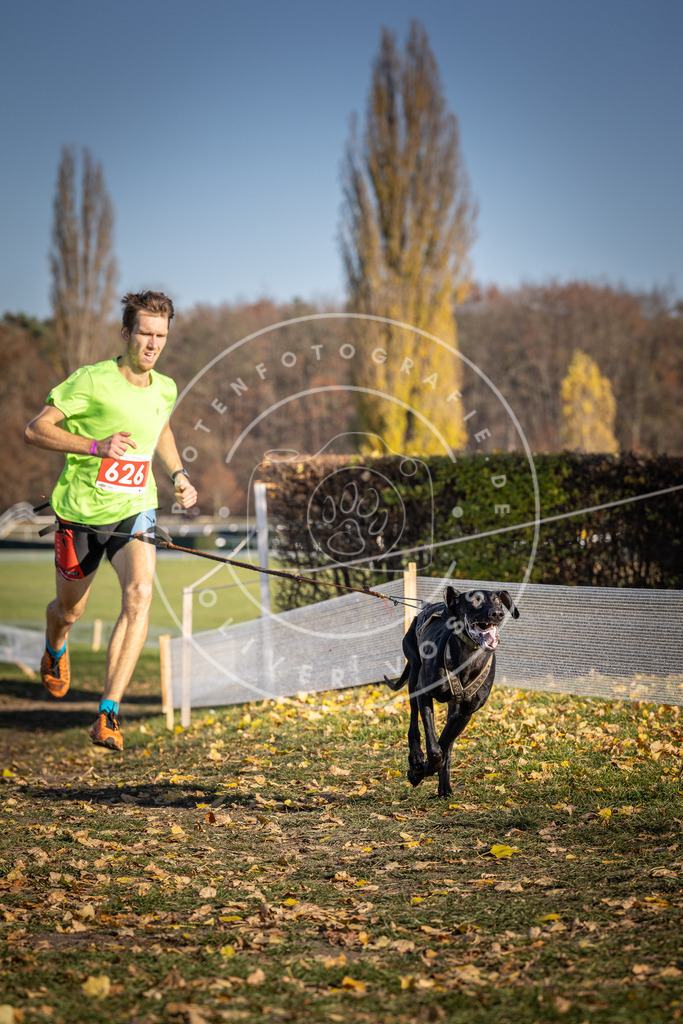 CaniXpix_DV3A0017 | Hundefotografie, Tierfotograf, Pfotenfotografie, Fotoshooting Hund, Hunde Portrait, Hundesport, Hundeportraits, Heideshooting, Hunde, Sportfotograf, Hundefotograf, Turnierhundsport, THS,  - Realisiert mit Pictrs.com