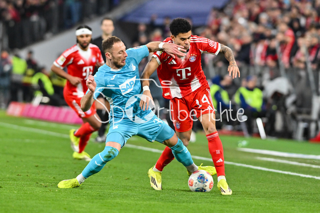 FC Bayern München - TSG 1899 Hoffenheim | MUNICH, GERMANY - 08. FEBRUARY: im Duell Vladimir COUFAL (TSG Hoffenheim 34) und Luis DIAZ (FC Bayern Munich 14) während dem Bundesligamatch zwischen dem FC Bayern München und der TSG 1899 Hoffenheim am 21. Spieltag in der Allianz Arena / DFL REGULATIONS PROHIBIT ANY USE OF PHOTOGRAPHS AS IMAGE SEQUENCES AND/OR QUASI-VIDEO