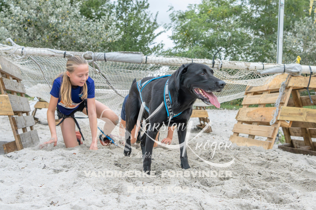 1114_ZZ95915 | kk-dogfotos