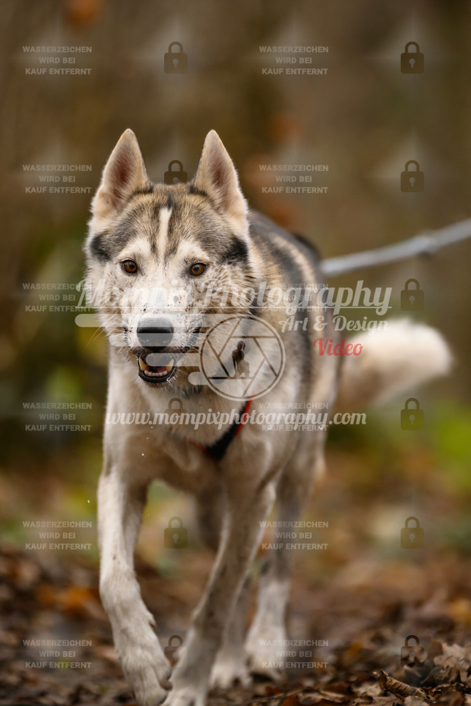 MompixPhotography_Eschau2024_CCC-62 | PayLife