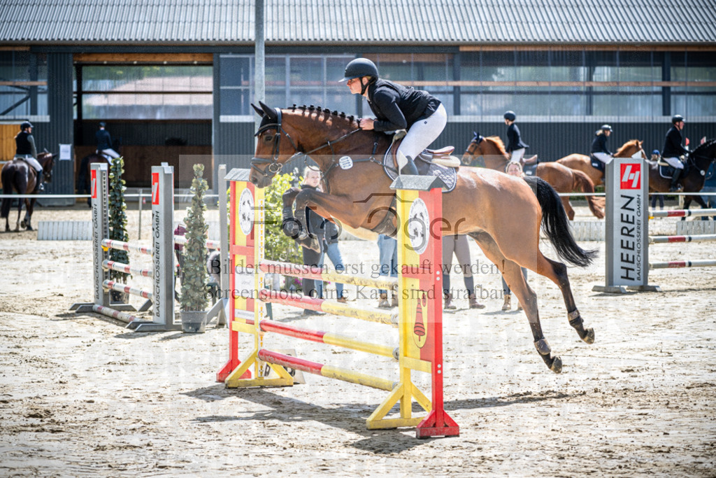 DOS_1187 | Reitturnier Lüdinghausen - Realisiert mit Pictrs.com