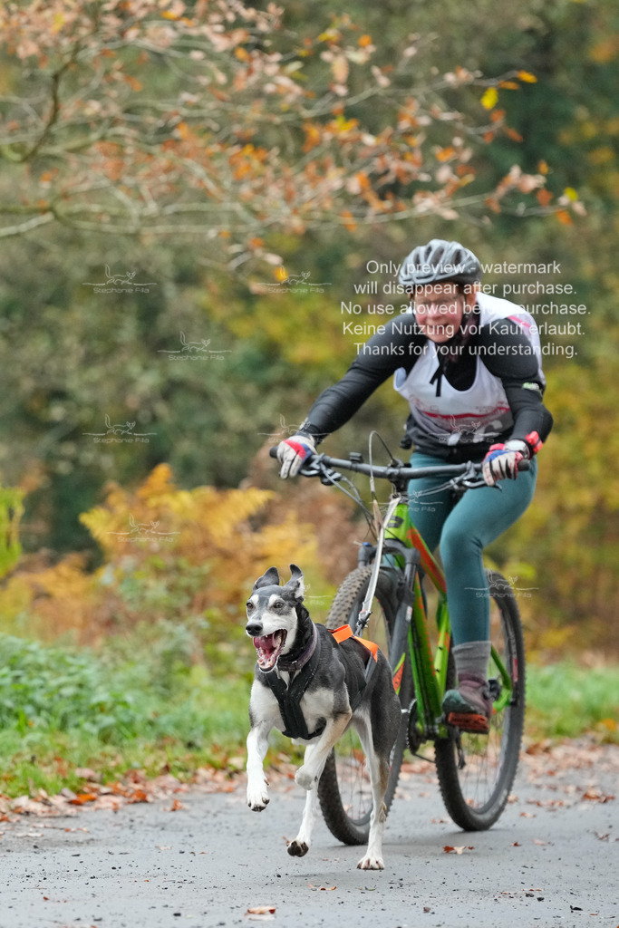 Bike_So-79 | stephaniefillaphotographie - Realisiert mit Pictrs.com