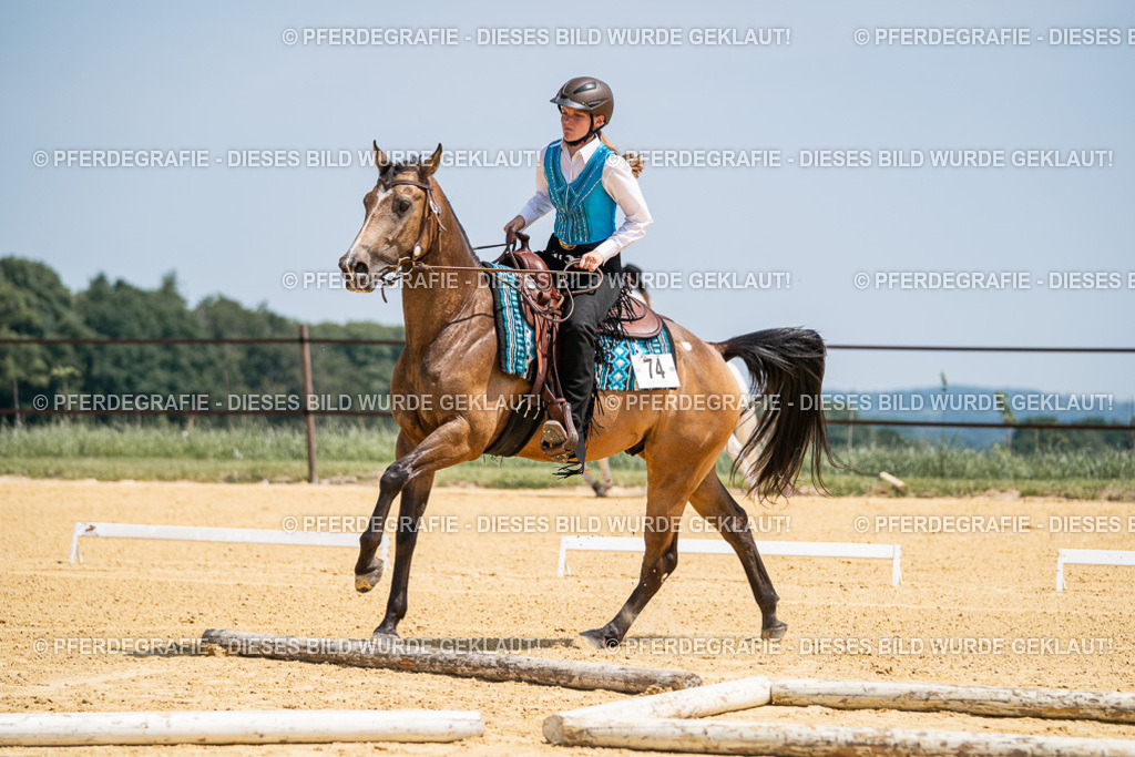 DSC00971 | Pferdegrafie