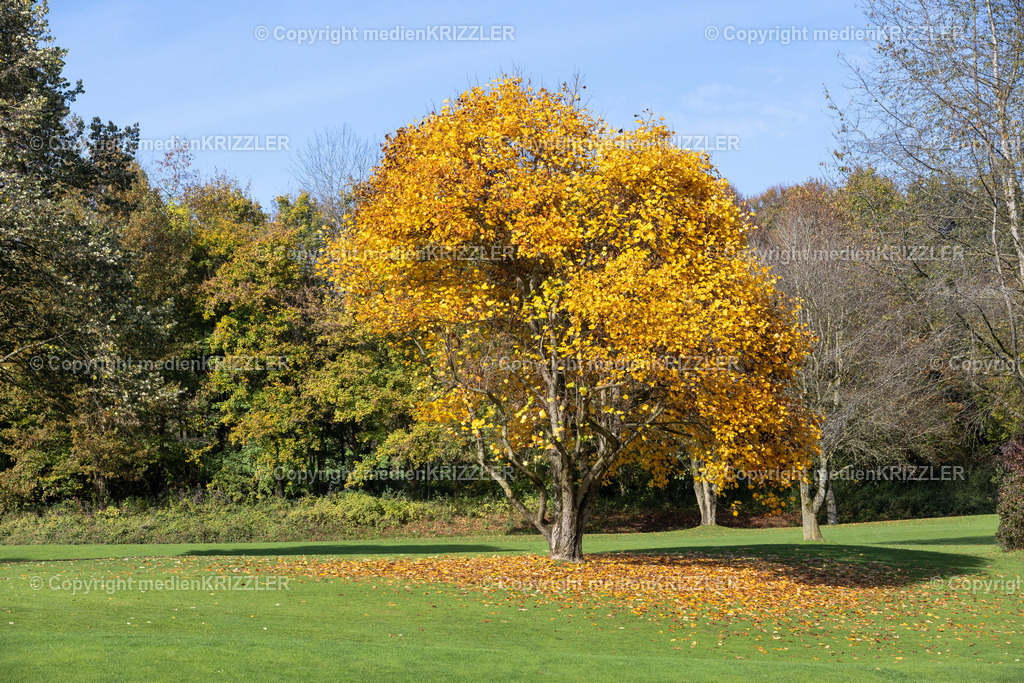 _J3A8897 | medienkrizzler - Realisiert mit Pictrs.com