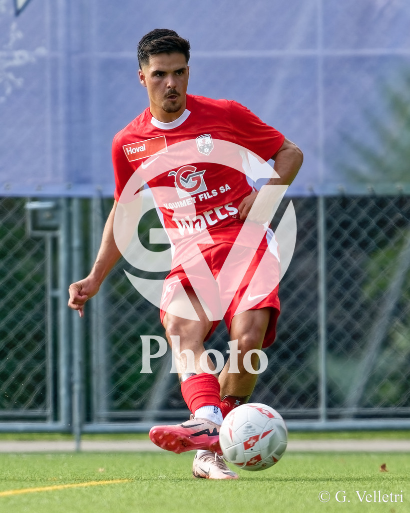 DSC_7340 | Velletri Photo