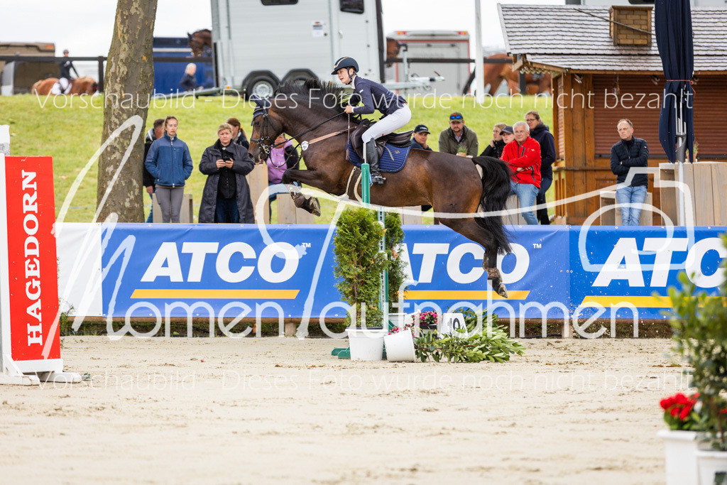 BHO-2PhSpr-M-5-2215 | MomenTaufnahmen Pferdesportfotos