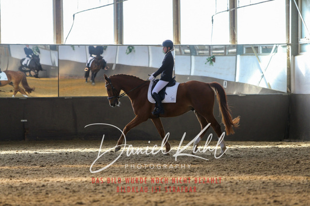 IMG_2351 | Turniersportfotografie; Pferdefotografie; Dressurfotografie