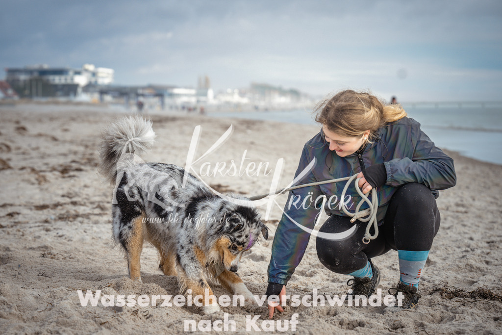 1156_ZZ92882 | kk-dogfotos