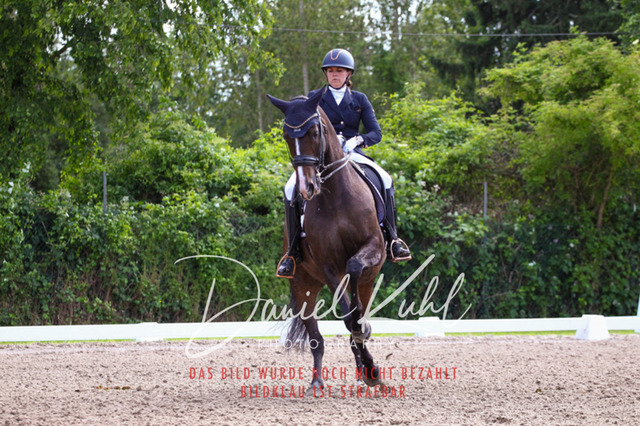 DKP41376 | Turnierfotos kaufen im Webshop von Daniel Kuhl Photography – entdecke professionelle Reitsportfotos aus Turnieren & Events. Hochwertige Turnierbilder online bestellen & sichern. Jetzt Fotos von Reitsportturnieren kaufen!
