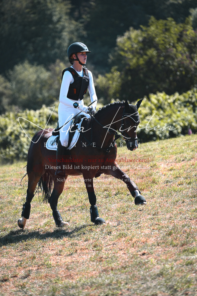 DSC_8290 | Pferde- und Turnierfotografie in Westsachsen. Pferdeportraits, Auftragszeichnungen und intuitive Kunst.