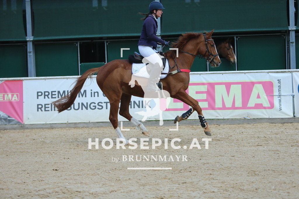 DL2Q8599 | Willkommen bei Brunnmayr - Design & Fotografie – Ihrem Spezialisten für Reitturniere und Pferdeveranstaltungen in Oberösterreich, Salzburg und Bayern! Seit über 17 Jahren sind wir leidenschaftlich dabei.