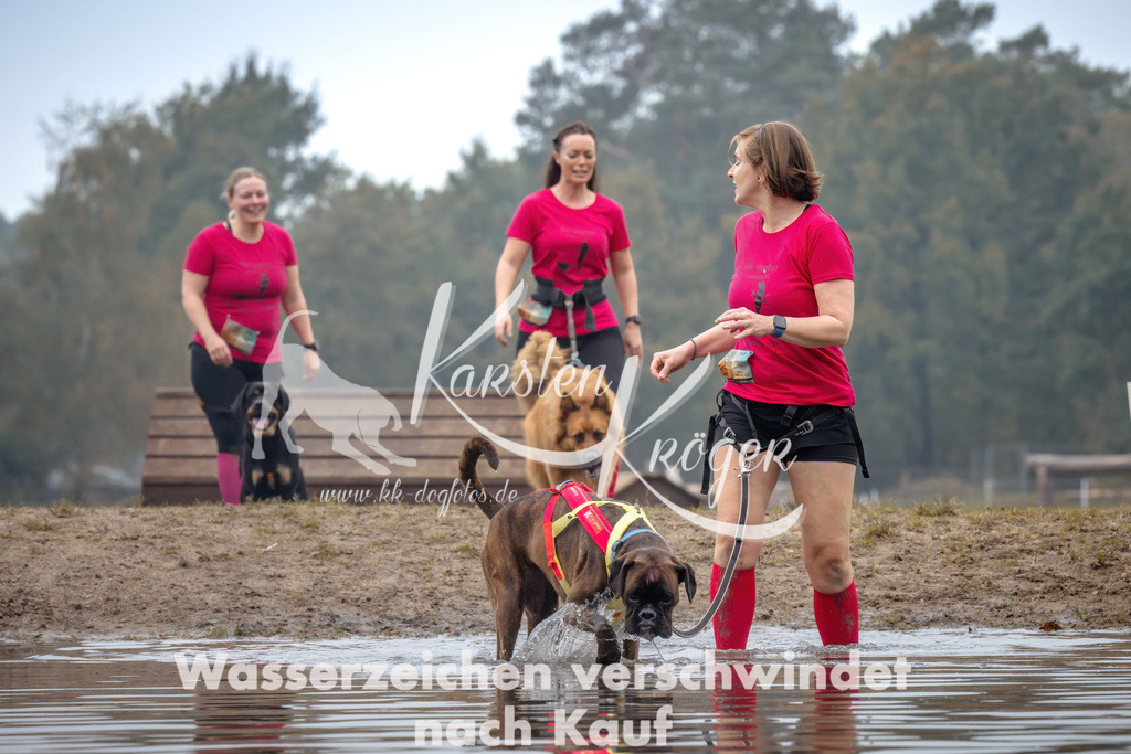 1025_ZZ99460 | kk-dogfotos