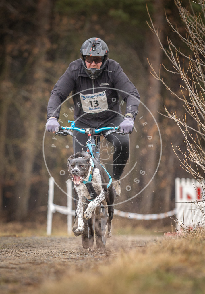 DV3A3224 | Hundefotografie, Tierfotograf, Pfotenfotografie, Fotoshooting Hund, Hunde Portrait, Hundesport, Hundeportraits, Heideshooting, Hunde, Sportfotograf, Hundefotograf, Turnierhundsport, THS,  - Realisiert mit Pictrs.com