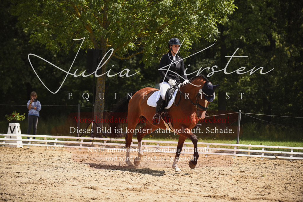 DSC_1261 | Pferde- und Turnierfotografie in Westsachsen. Pferdeportraits, Auftragszeichnungen und intuitive Kunst.