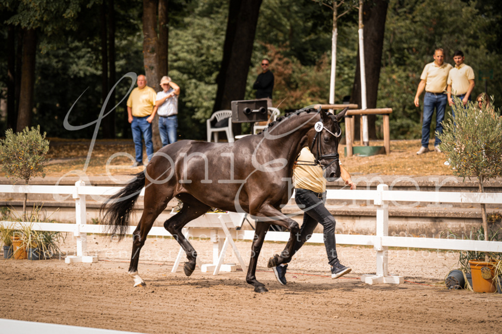 4.Fr00075 | Leoni Ertmer Photography - Realisiert mit Pictrs.com