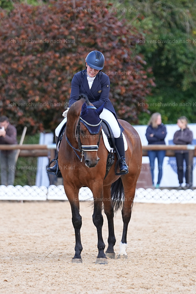09_2-169-DRESSUR  S_  -Marixx-5941 | working equitationturnier fotograf videograf stoibphotography marixx film working equitation deutschland reitsport turnierfotografie eventfotografie equestrian events
