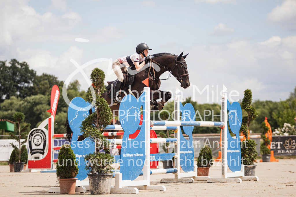 250629_PfSpTa_2Ph-M1-708 | Deine schönsten Turniermomente als professionelle Fotos! Entdecke hochwertige Pferdesport-Fotografie im Online-Shop. Jetzt Fotos finden & bestellen!