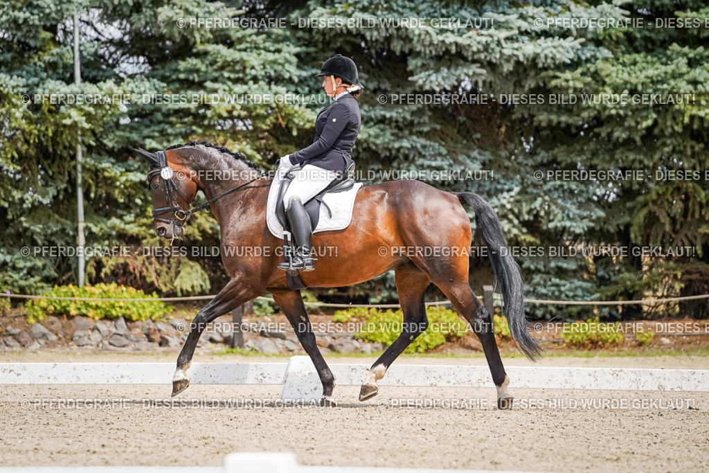 DSC01978 | Pferdegrafie