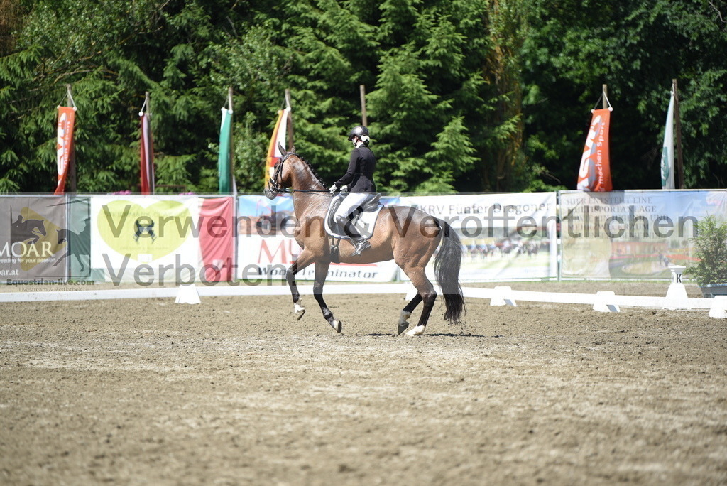 DSC_0366 | equestrian-live-com