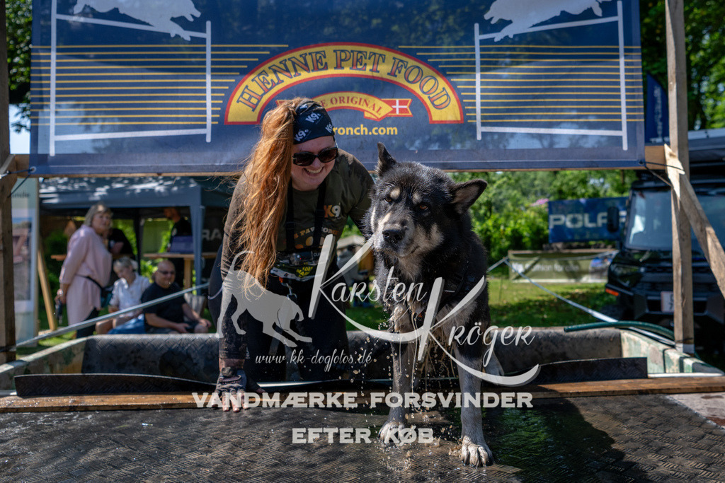 1219_ZZ90747 | kk-dogfotos