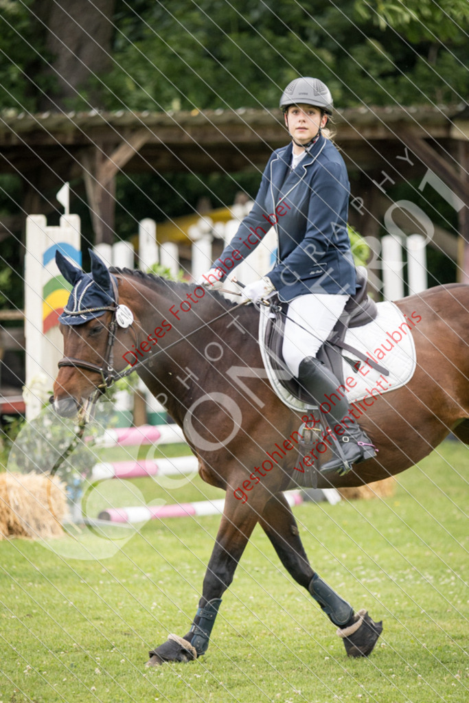 IMG_2549 | Sport-, Event- und Tierfotos in Profiqualität. Einfach auswählen, bestellen und herunterladen. Dein Moment – perfekt festgehalten.