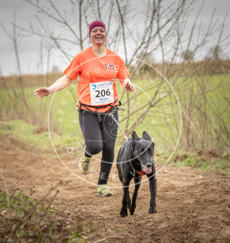 DV3A2567 | Hundefotografie, Tierfotograf, Pfotenfotografie, Fotoshooting Hund, Hunde Portrait, Hundesport, Hundeportraits, Heideshooting, Hunde, Sportfotograf, Hundefotograf, Turnierhundsport, THS,  - Realisiert mit Pictrs.com