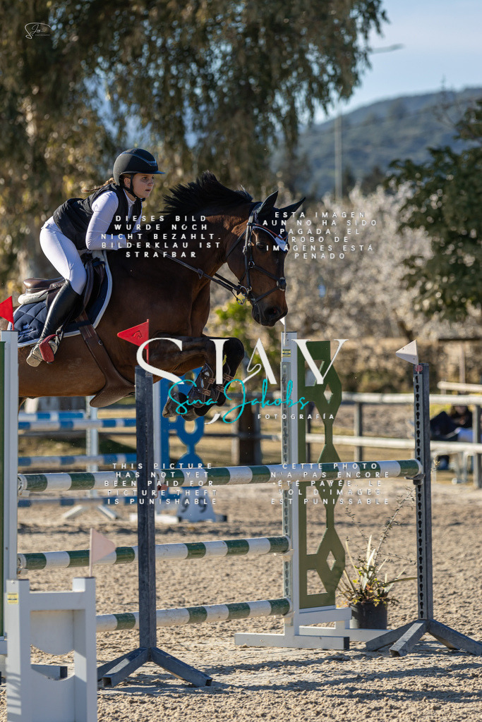 IMG_2229 | s-jay-photography - Realisiert mit Pictrs.com