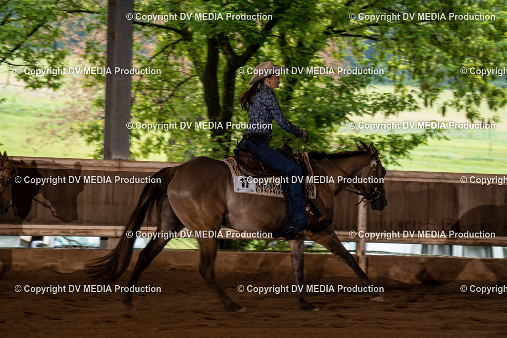 Erbach Tag 4-278 | dv-media-shop - Realisiert mit Pictrs.com