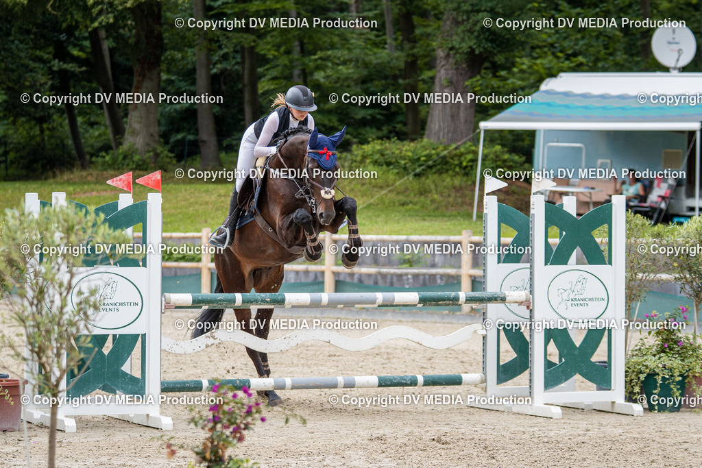 Hessische Tag 1-806 | dv-media-shop - Realisiert mit Pictrs.com