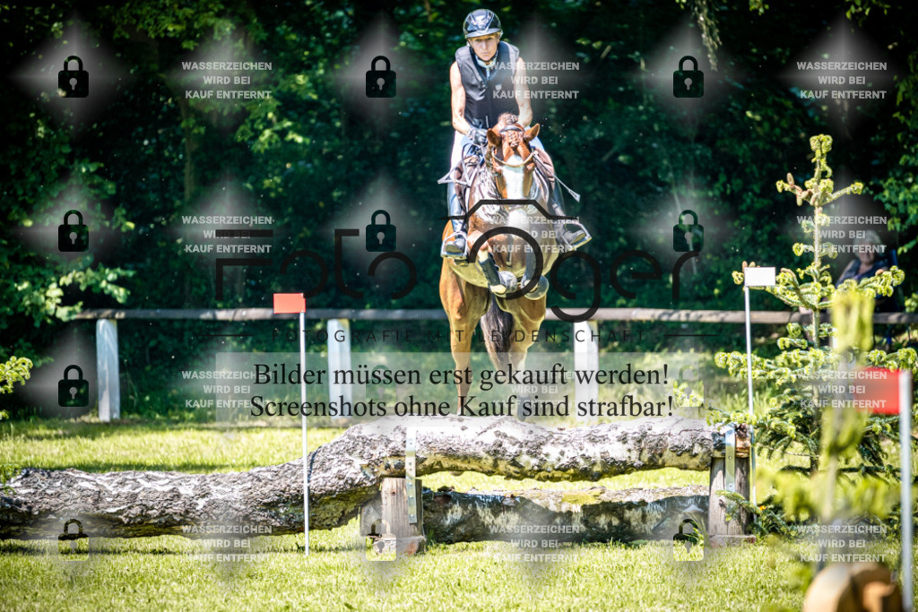 2026-05 - Melle Oldendorf-1-0009 | Entdecke hochwertige Reitturnierfotos von Foto Oger. Professionell, emotional und authentisch – jetzt Lieblingsmomente im Shop bestellen.Deutschlandweite Turnierfotografie. - Realisiert mit Pictrs.com