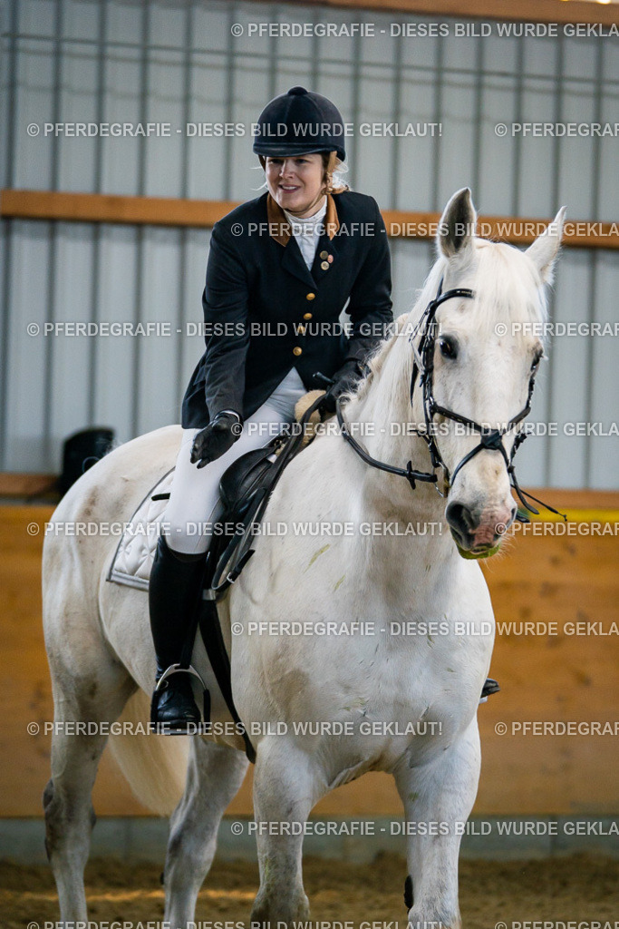 DSC00776 | Pferdegrafie