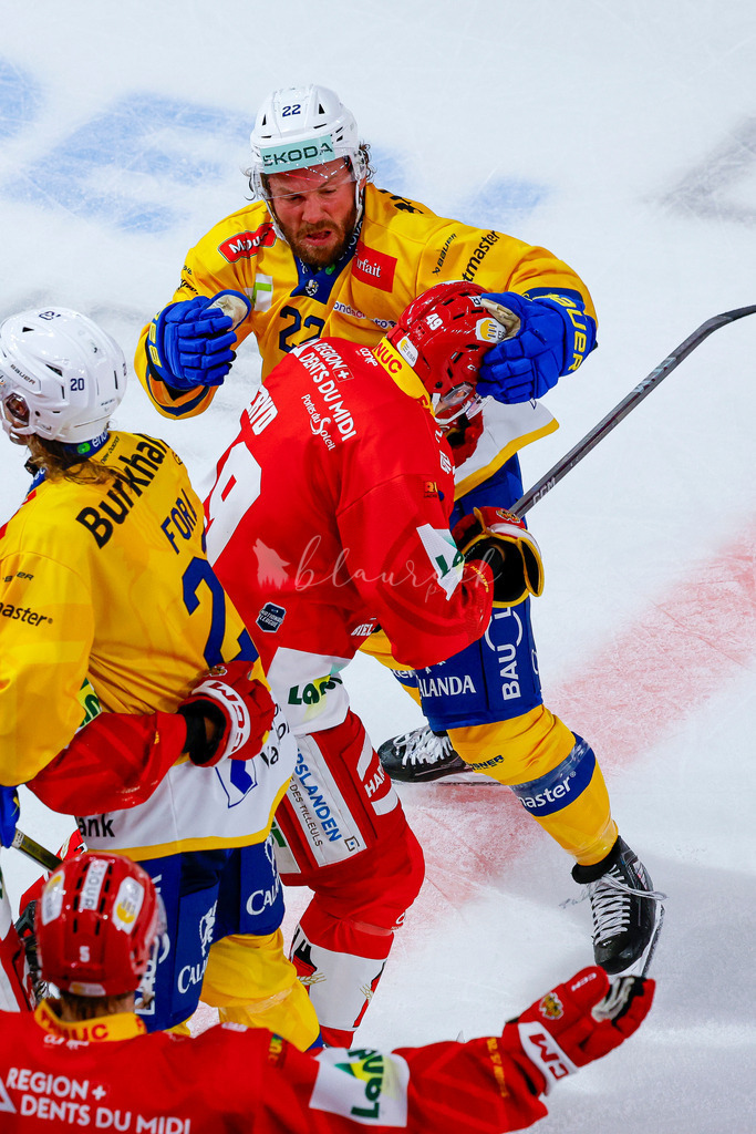 09112025_EHCB vs HCD_wb-1402 | Sportbilder, Sportfotograf, Hochzeits- und Eventfotografin, Flugshows, Portraits und Tiershooting, Aviation, Downhill, Nationalleague, Swissleague, International