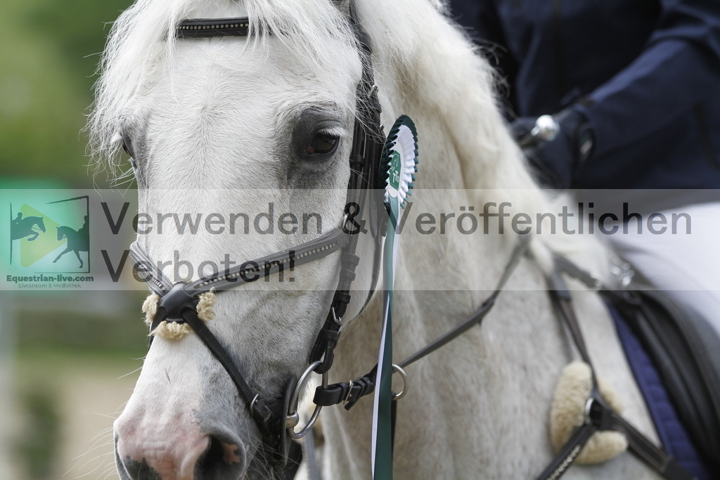 _MG_4312 | equestrian-live-com
