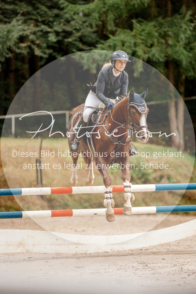 3I6A5808 | Stimmungsvolle Portraits und Reitsportfotografie im Ruhrgebiet und im Münsterland.

Pferdefotografie, Hundefotografie, Tierfotografie, Reportagen, Portraits von Tier und Mensch, Turnierfotografie in Bochum, Recklinghausen, Marl, Haltern am See, Dülmen.. - Realisiert mit Pictrs.com