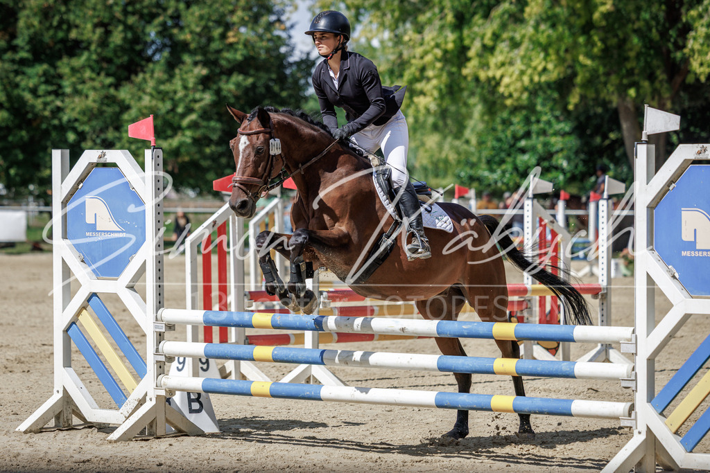 20260905-_3LI8525 | Tierfotografie Pferde, Hunde, Katzen, Haustiere.
Turnierfotografie Reitturniere, Reiten, Springreiten, Dressur in Hanau, dem Main-Kinzig-Kreis und dem Rhein-Main- Gebiet um Frankfurt