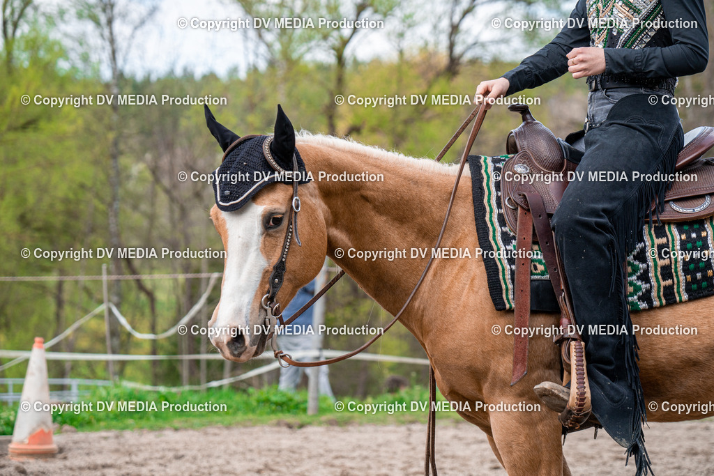 BAL02567 | dv-media-shop - Realisiert mit Pictrs.com