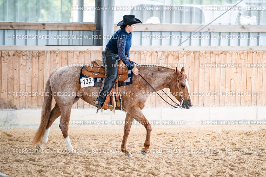 DSC02040 | Pferdegrafie