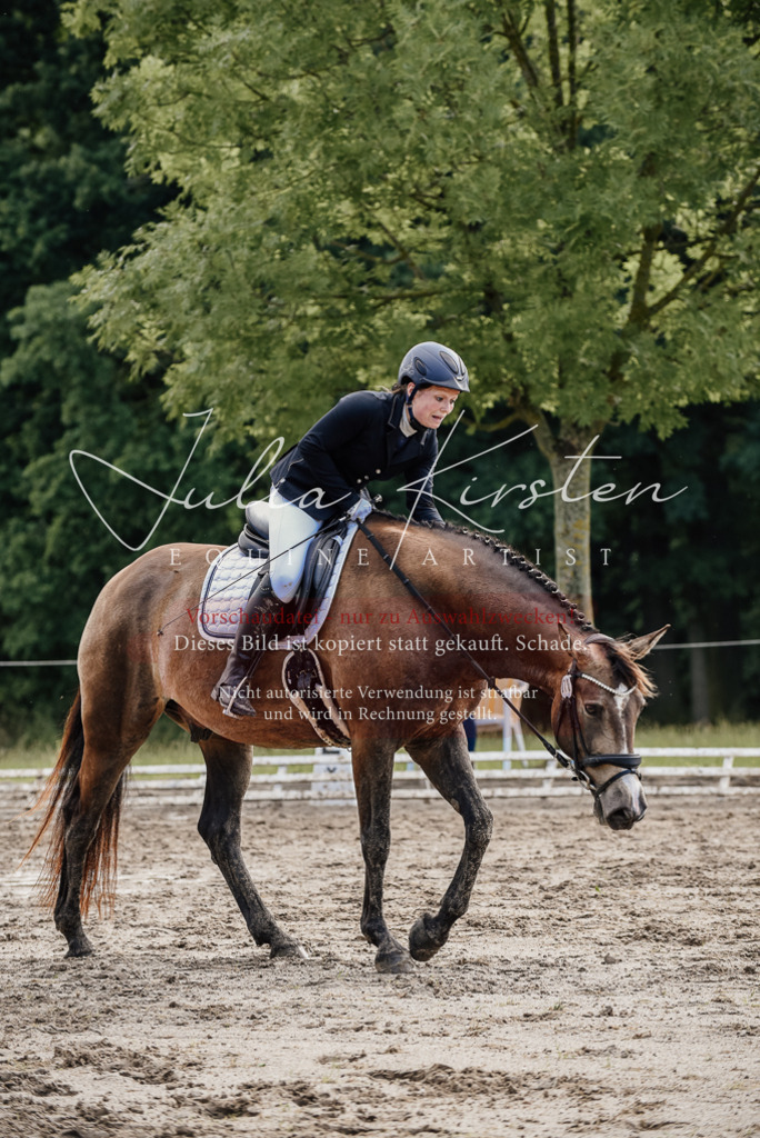 DSC_9323 | Pferde- und Turnierfotografie in Westsachsen. Pferdeportraits, Auftragszeichnungen und intuitive Kunst.