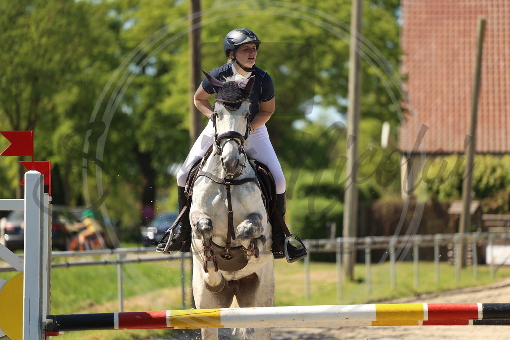 994A5781 | sabrinanicolaifotografie - Realisiert mit Pictrs.com