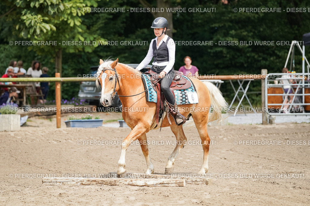 DSC07114 | Pferdegrafie