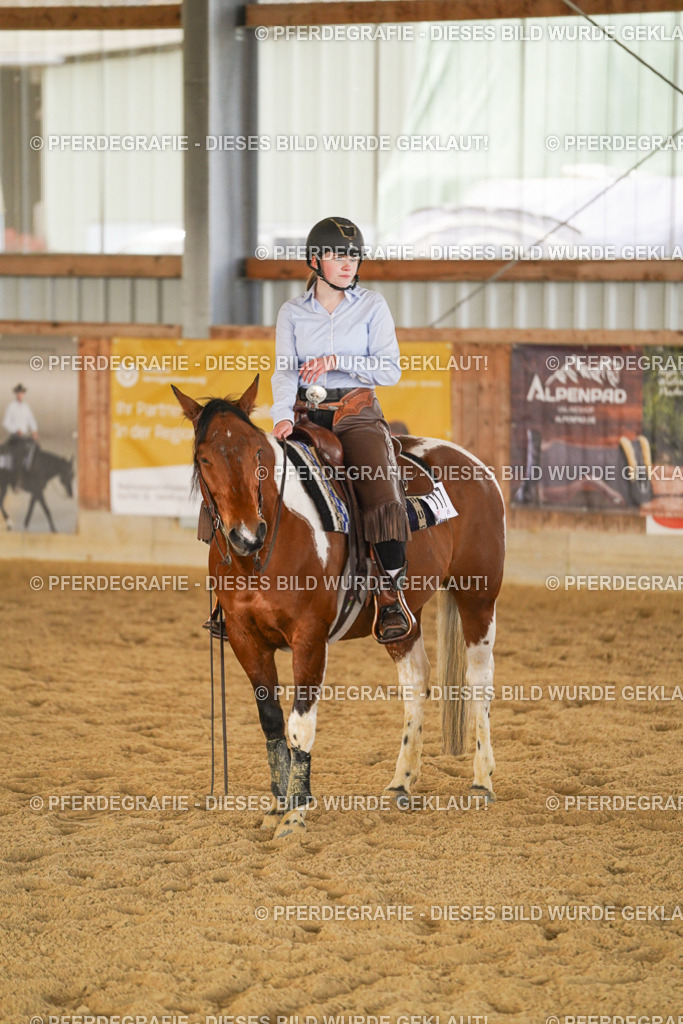 DSC08946 | Pferdegrafie