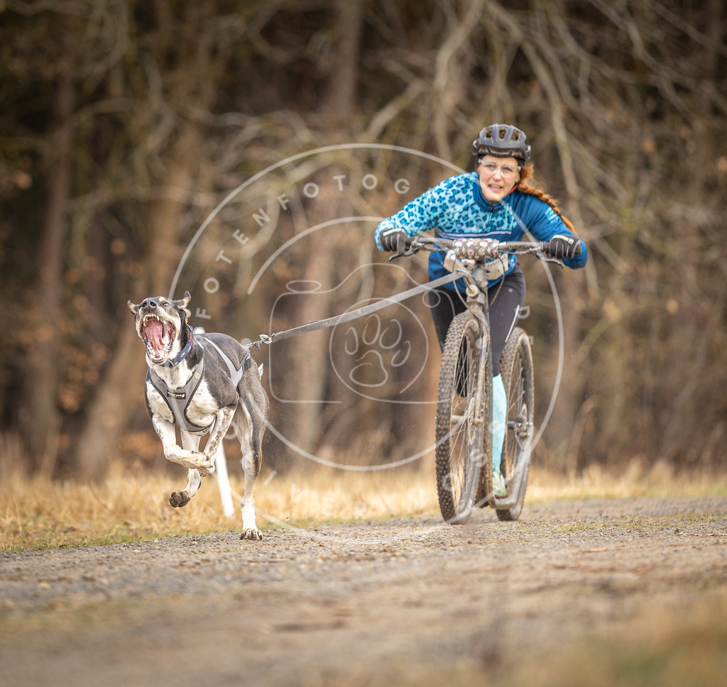 DV3A3392 | Hundefotografie, Tierfotograf, Pfotenfotografie, Fotoshooting Hund, Hunde Portrait, Hundesport, Hundeportraits, Heideshooting, Hunde, Sportfotograf, Hundefotograf, Turnierhundsport, THS,  - Realisiert mit Pictrs.com