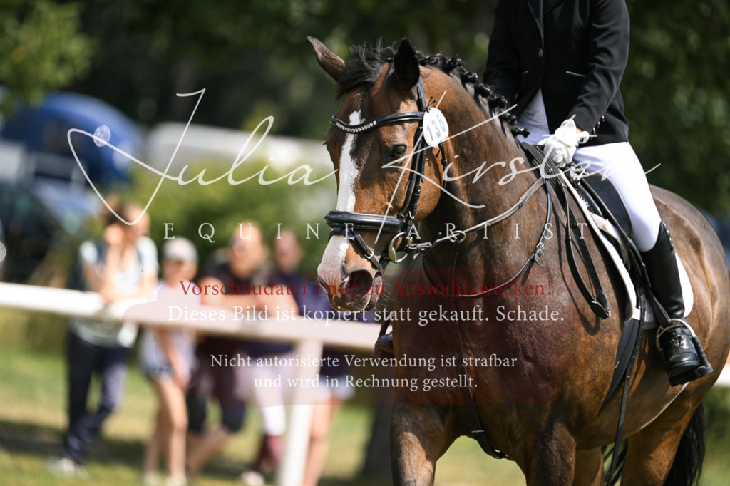 DSC_9228 | Pferde- und Turnierfotografie in Westsachsen. Pferdeportraits, Auftragszeichnungen und intuitive Kunst.