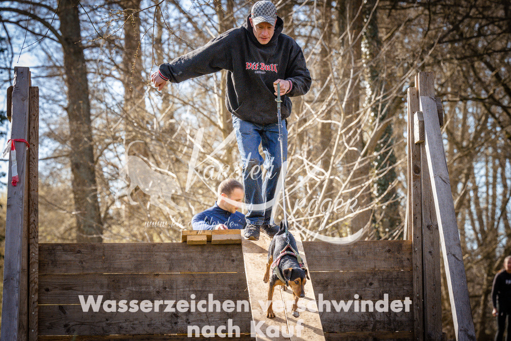 0906_ZZ93608 | kk-dogfotos