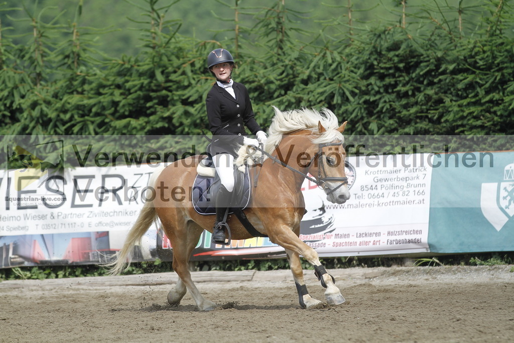_MG_4601 | equestrian-live-com