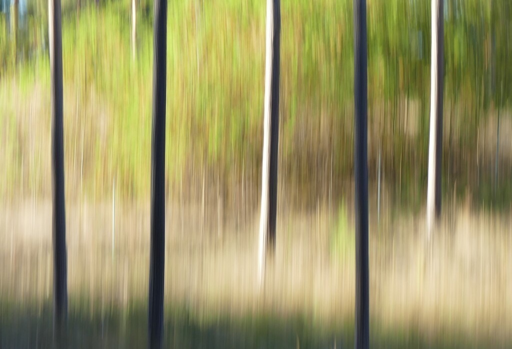 P4050742_b | Annaeherungen - Realisiert mit Pictrs.com