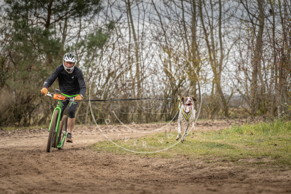 Pfotenfotografie_DV3A9709 | Hundefotografie, Tierfotograf, Pfotenfotografie, Fotoshooting Hund, Hunde Portrait, Hundesport, Hundeportraits, Heideshooting, Hunde, Sportfotograf, Hundefotograf, Turnierhundsport, THS,  - Realisiert mit Pictrs.com