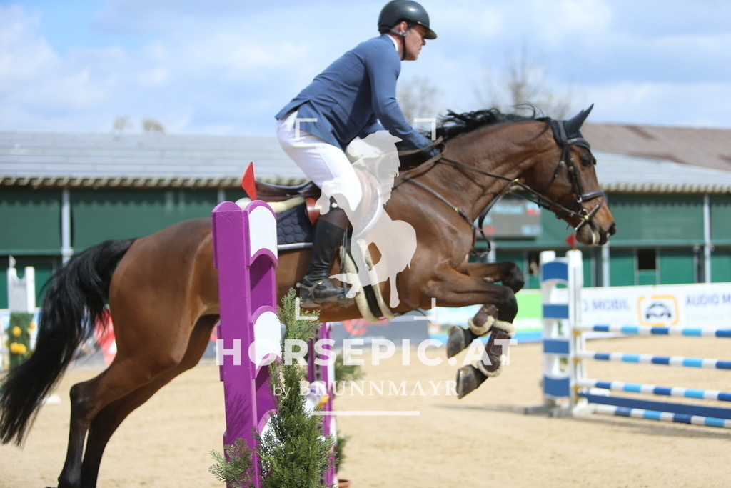 DL2Q8714 | Willkommen bei Brunnmayr - Design & Fotografie – Ihrem Spezialisten für Reitturniere und Pferdeveranstaltungen in Oberösterreich, Salzburg und Bayern! Seit über 17 Jahren sind wir leidenschaftlich dabei.