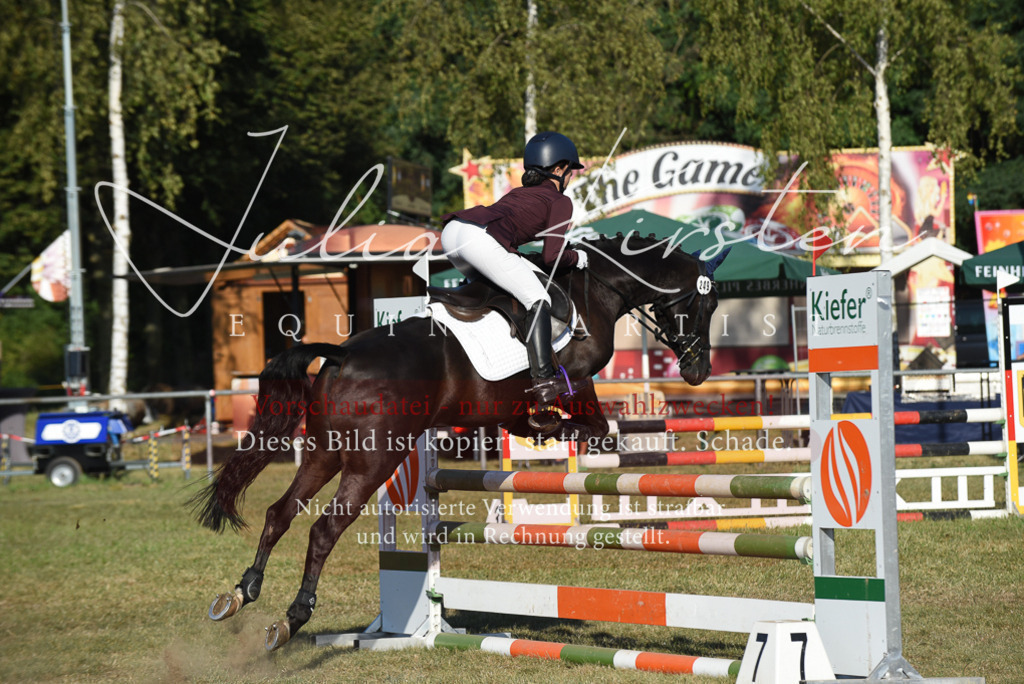 DSC_5078 | Pferde- und Turnierfotografie in Westsachsen. Pferdeportraits, Auftragszeichnungen und intuitive Kunst.