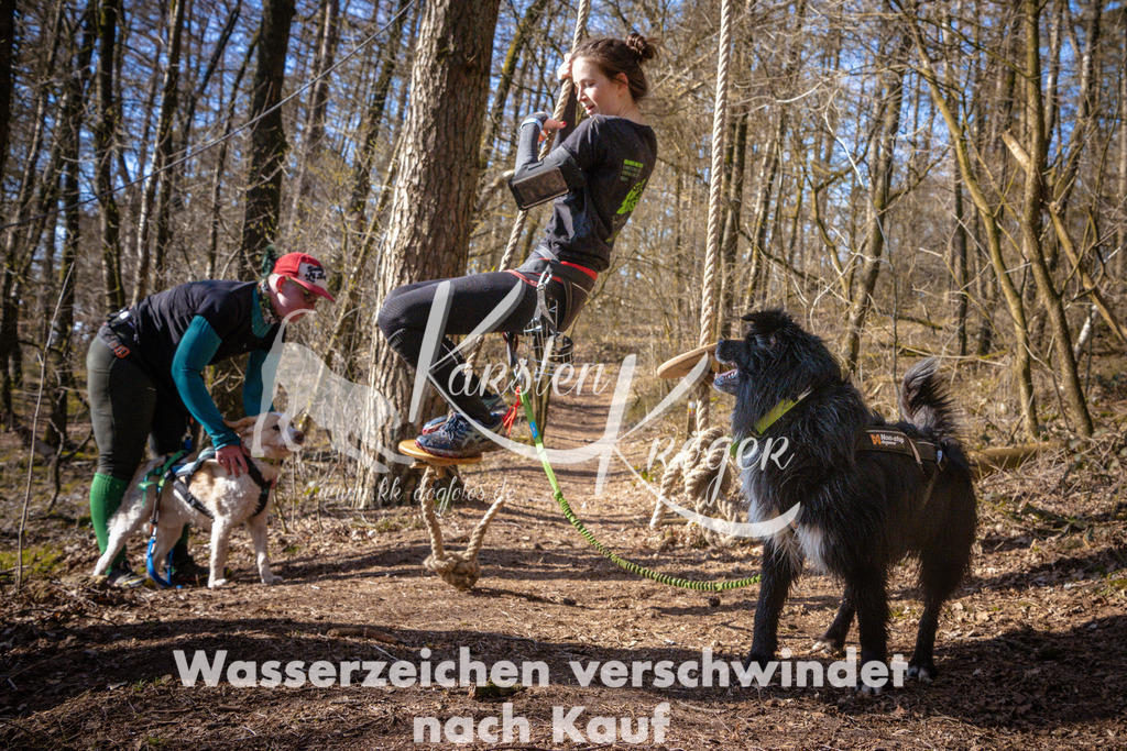0938_ZZ99291 | kk-dogfotos